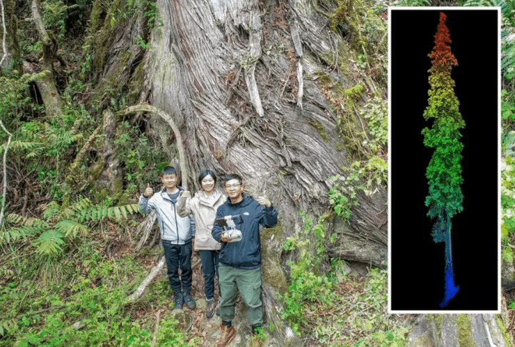 Исследователи стоят рядом с кипарисом высотой 335 футов в Национальном природном заповеднике Гранд-Каньон Ярлунг Зангбо
