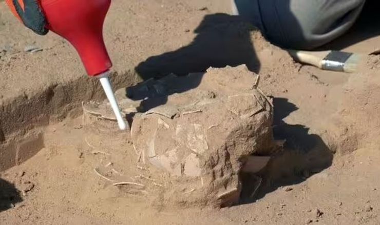 ізраїль, археологія, знахідка, дослідження, розкопки