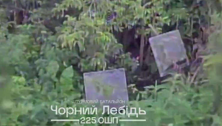 Антенны системы РЭБ "Черный глаз" в кустах