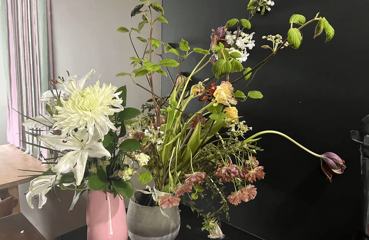 Кошки за ночь изменили цвет из-за новых цветов в доме