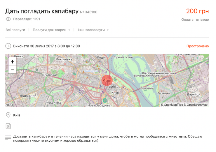 капибара, киев, мода, животные