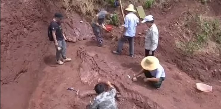 динозавр, розкопки, Китай