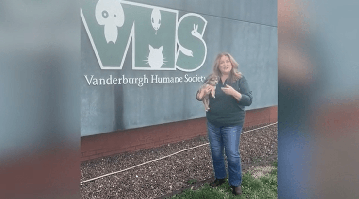 Цікавий тренд у мережі, відео з директоркою притулку, тварини, допомога безпритульним тваринам, курйози