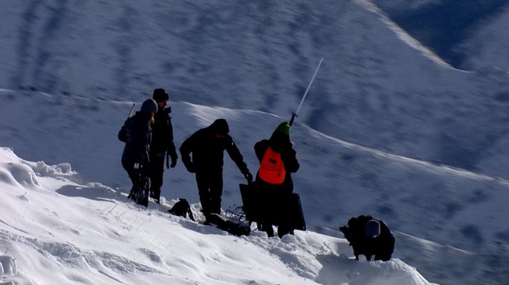 Антенна LoRa штат США