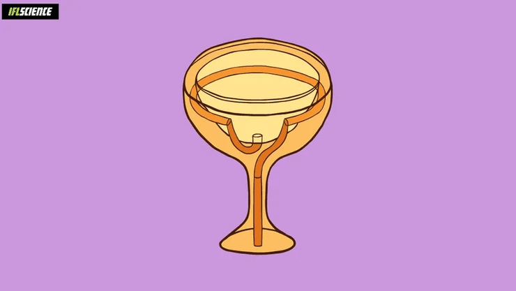чаша Пифагора, Пифагор, философ, математик, история, чаша, кубок, миф, легенда, соединенные сосуды, вино, жидкость, физика, Паскаль, теорема Пифагора, история, древняя греция