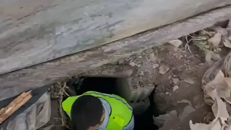 Діяли на підставі оперативної інформації: у Туреччині врятували 1500-річну мозаїку від контрабандистів (фото)2