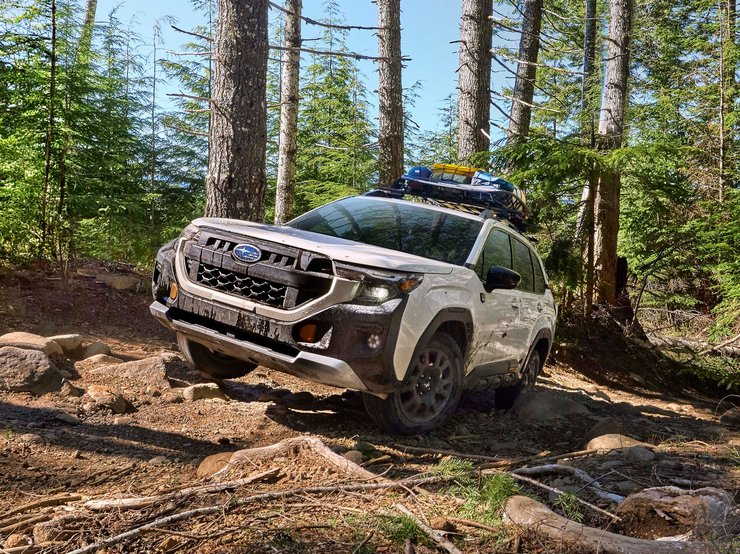 Subaru Forester Wilderness, Subaru Forester Wilderness, Subaru Forester, Subaru Forester, новый Subaru Forester