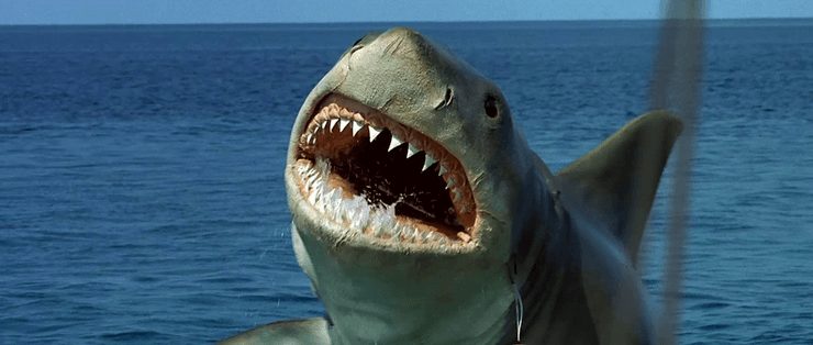акула, челюсти, фильмы про акул, морские чудовища, акула людоед, фильмы о монстрах, фильмы о чудовищах, тайны океана