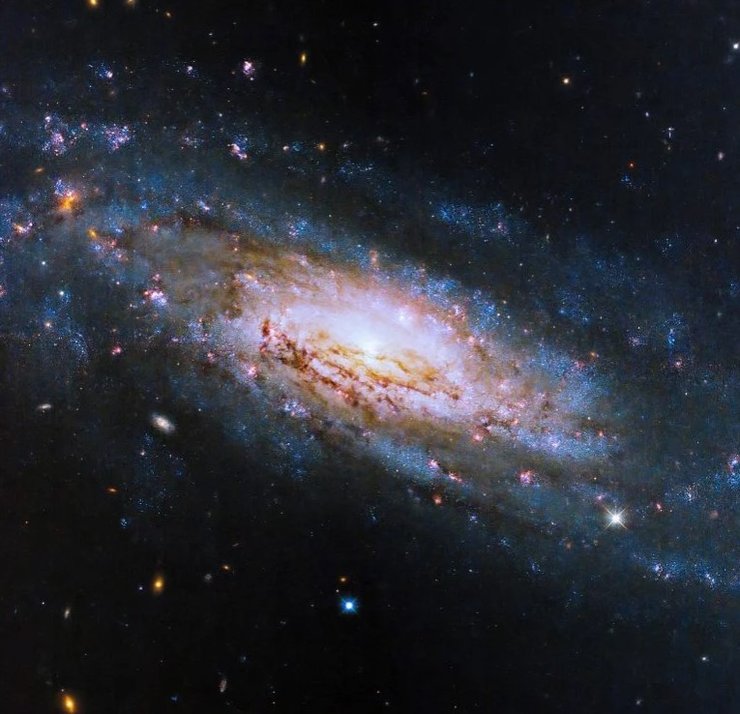 галактика NGC 4951
