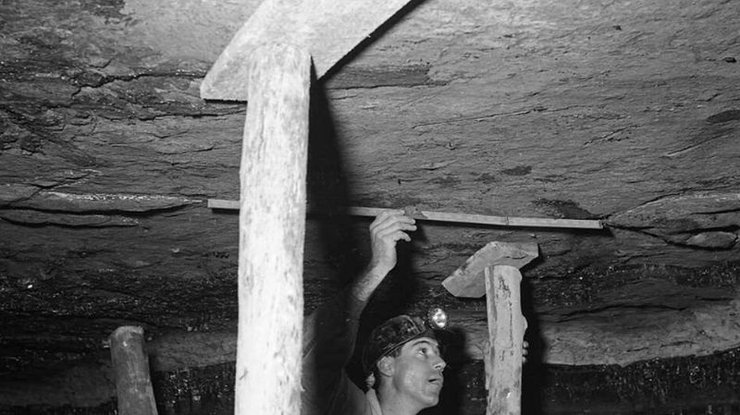 следы динозавров