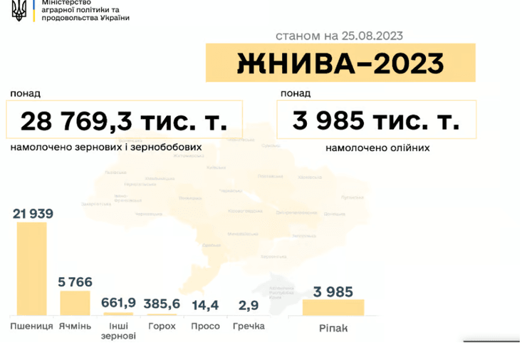 Сбор урожая, зерновые, жатва 2023