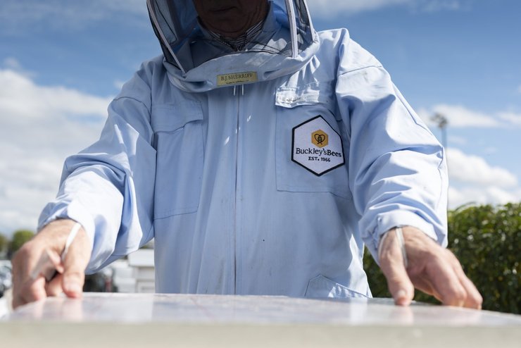 логотип бентли, мед бентли, мед Bentley, пасека Bentley, Flying Bees