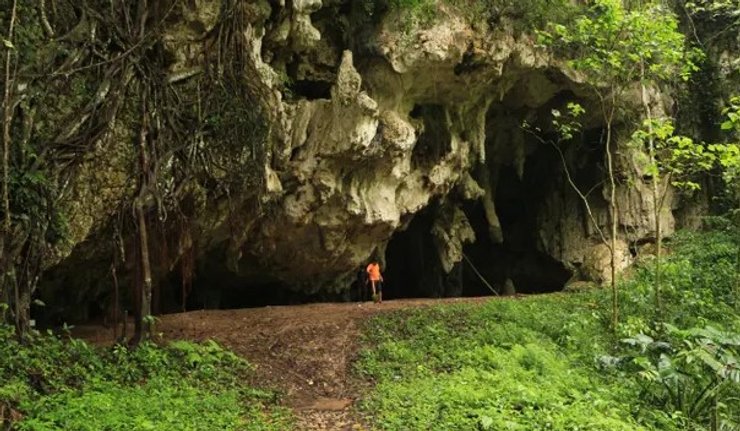 Пещера Лианг Паннинге на индонезийском острове Сулавеси, где были найдены останки