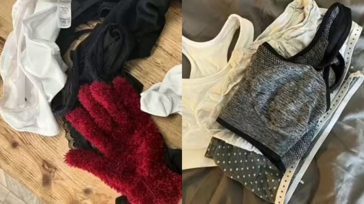 Одежда, вещи, украденные вещи,