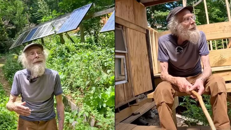 Джо Холлис, США, мужчина 50 лет прожил в лесу, жизнь вне цивилизации, курьезы, интересные истории, отшельник, блогеры