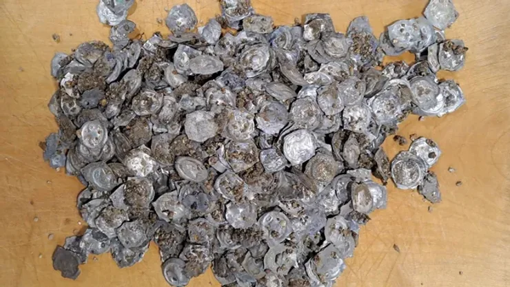 археологи, археология, раскопки, монеты, клад, серебро, Германия, строительные работы, Фрайбург, открытие, Глоттерталь, город, регион, ученые, исследования