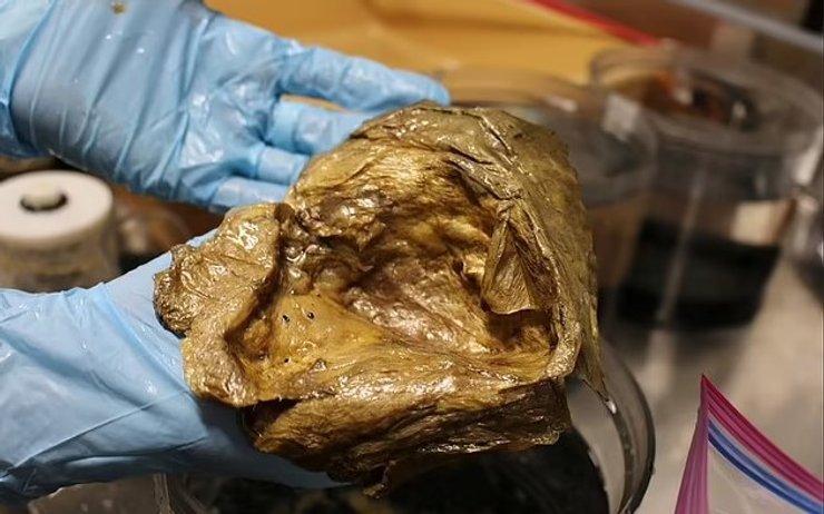 яйцо, золотое яйцо, яйцо в океане, золотое яйцо в океане