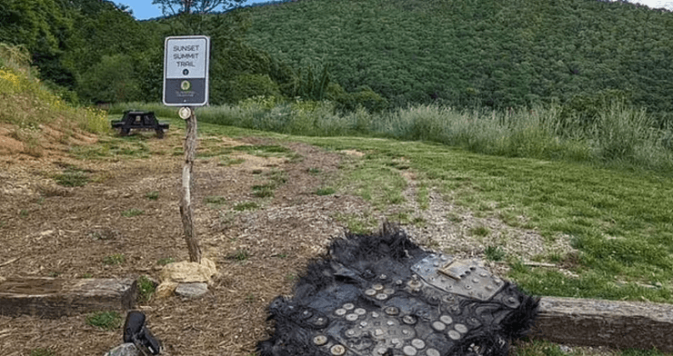 Мохнатое НЛО, космический мусор, загадочный объект в лесу, находка, предмет упал с неба, NASA, часть спутника, прошел через атмосферу