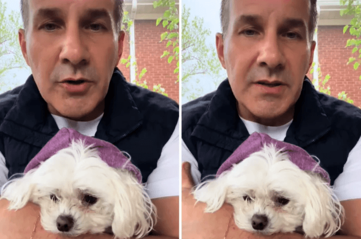 Врач из США отказался усыпить маленькую собаку и оставил ее себе, что произошло через восемь лет, курьезные истории