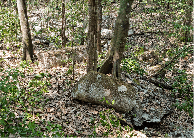 археологи виявили руїни споруд мая