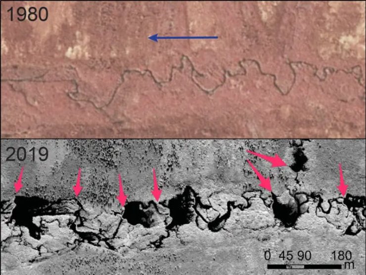 бобровые пруды