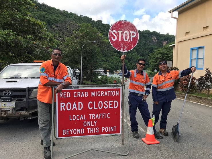 острів різдва, міграція крабів, австралія