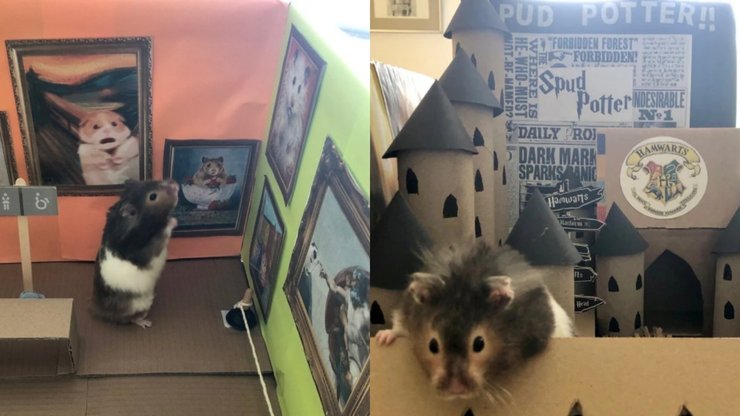 Хомяк, покойный хомяк, прах хомяка, хомяк Спад, отправила прах в тур по Европе, путешествие, достопримечательности,