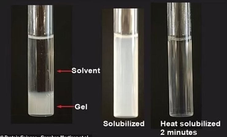 Белки CAHS образуют гель внутри клеток