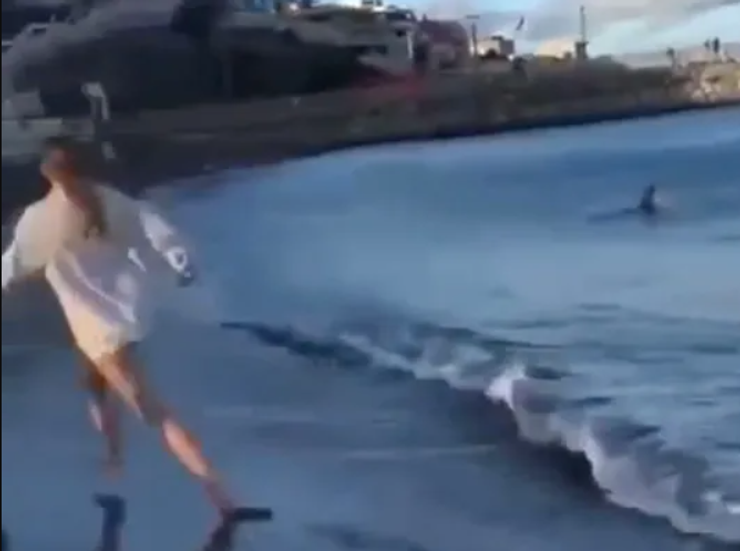 Пляж Меланара на Канарських островах, Іспанія, акула налякала туристів, курйози, подорожі, фото, скандал