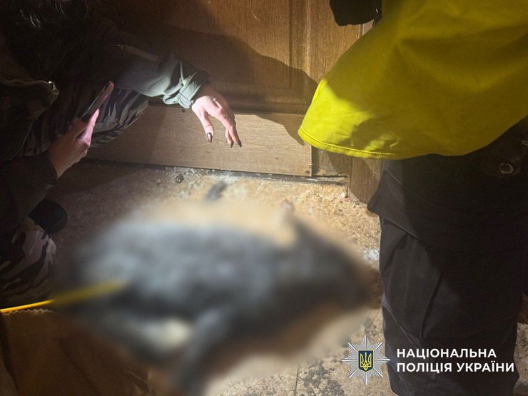 В Киеве в квартире нашли мертвую лису
