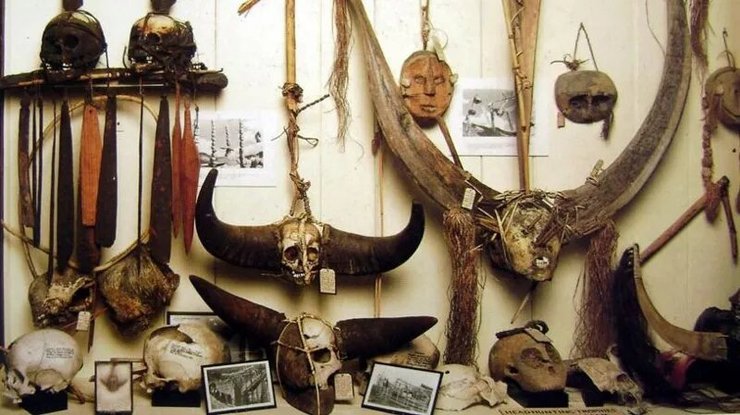 Останки людей Нага были выставлены в британском музее Питт-Риверс до того, как их забрали в 2020 году