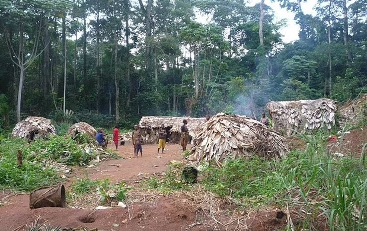 дети республика конго