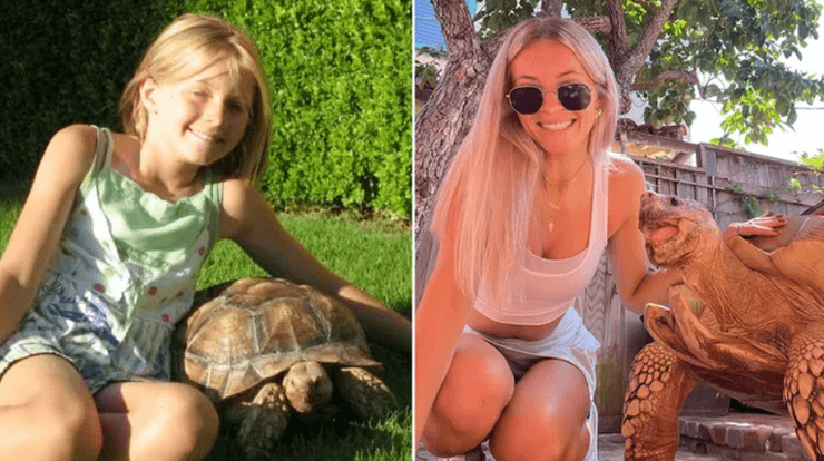 дівчина, дівчинка, черепаха