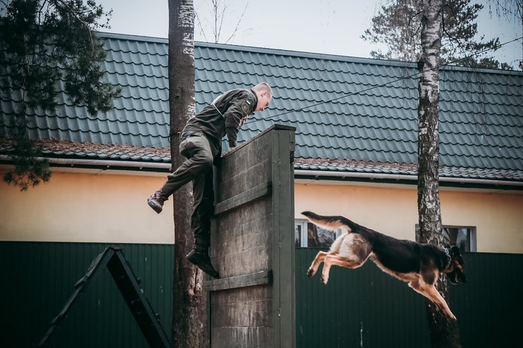 кинологи, мвд, нацгвардия, животные, соревнования