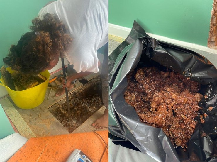 Женщина, мед, соты, пчелы, улей