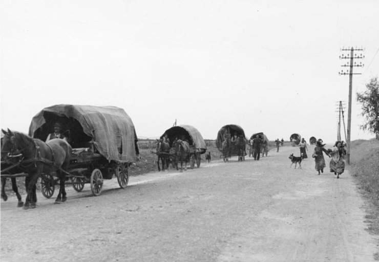 Ромы проживают по всему миру, кибитки, ромы, где самые большие общины ромов