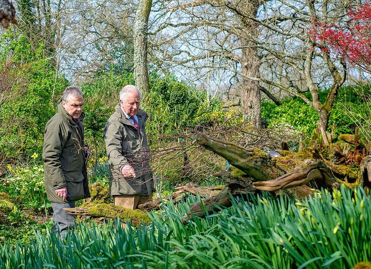 Король Чарльз, король великобритании, король британии, факты о короле Чарльзе, принц Чарльз