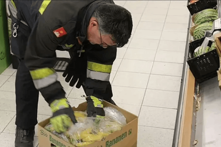 Ядовитый паук в магазине, ядовитый паук, закрыли супермаркет, паук в бананах, вызывает эрекцию, опасное насекомое