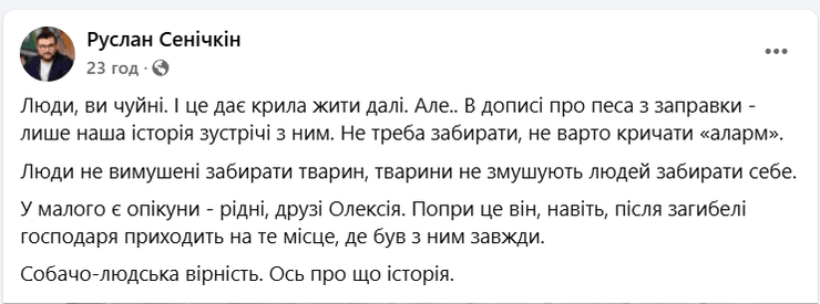 собака, пес, чекає на господаря, Руслан Сенічкін, допис, український телеведучий