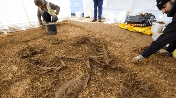 дослідження, розкопки, щит, древні люди, залізна доба