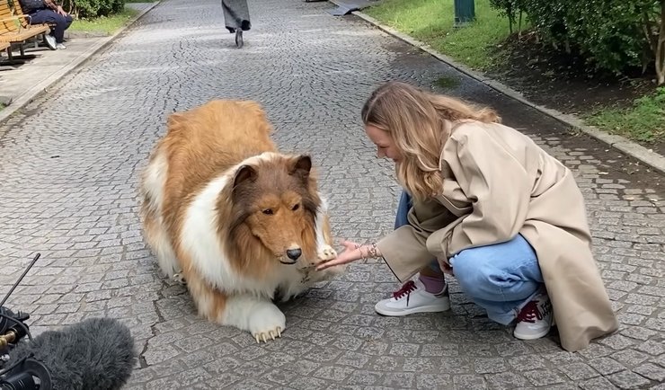 Мужчина-пес, Япония, фетиш, переодевание