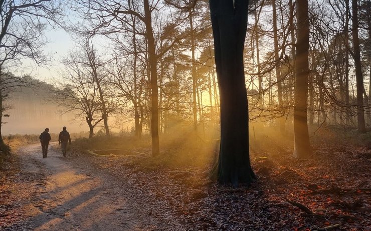 археологія, дослідження, історія, курган, древні люди