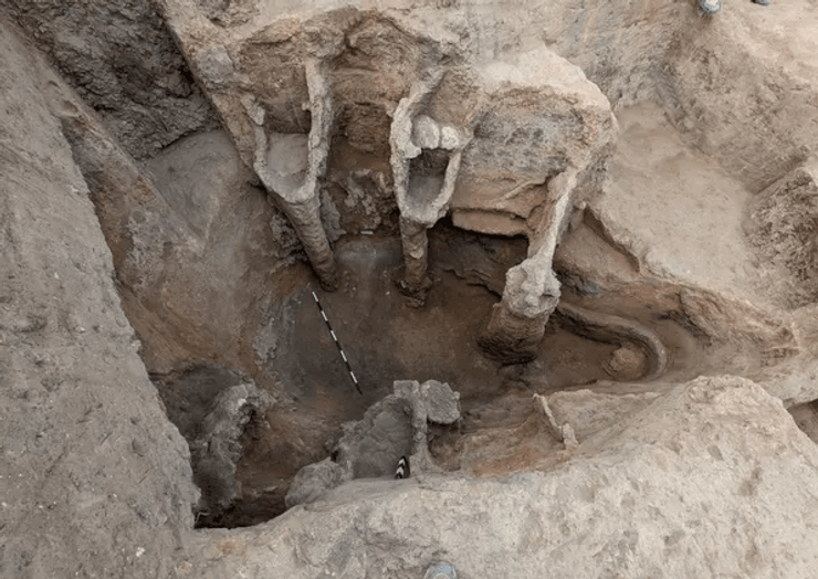 останки, археологія, розкопки, дослідження, останки жінки, останки тварини, осел, останки віслюка, знахідка, поховання, поховання тварин, поховання людей, розкопки ізраїль, кераміка, глиняний посуд, випалювання глини, піч, піч для випалювання глини