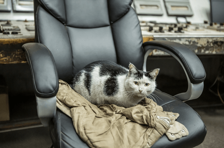 Обстрелы Украины, обстрелы энергетики, удары по энергетике, атаки энергетика, энергетические объекты, энергетическая инфраструктура, обстрел, обстрелы