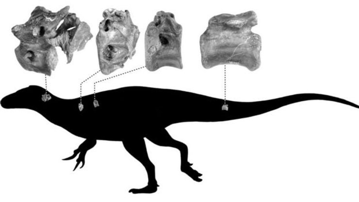 динозавр, окаменелости