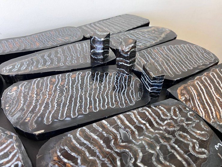 палеонтологические находки, палеонтология, зубы, зубы мамутов, мамуты