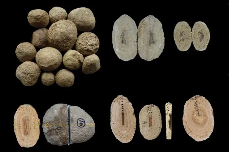 жемчужины, пещеры, Израиль, Иерусалим, открытие, исследование, находка, археологи, археология, вода, источник, образование, среда, вода