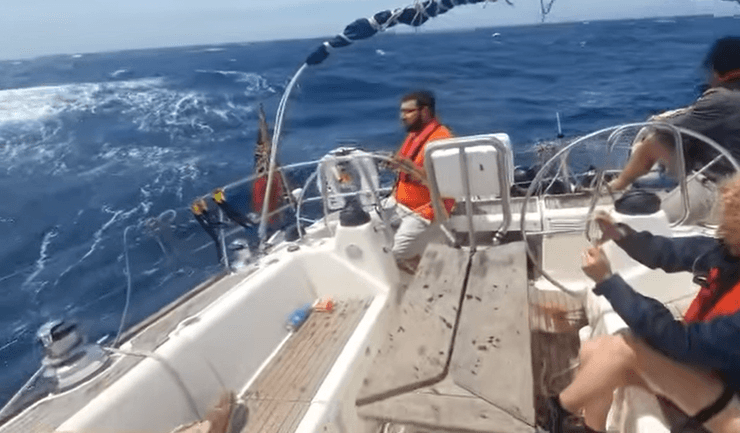 Напад косаток