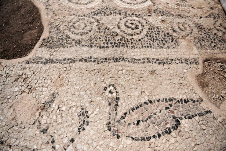 исследователи раскопали роскошную мозаику