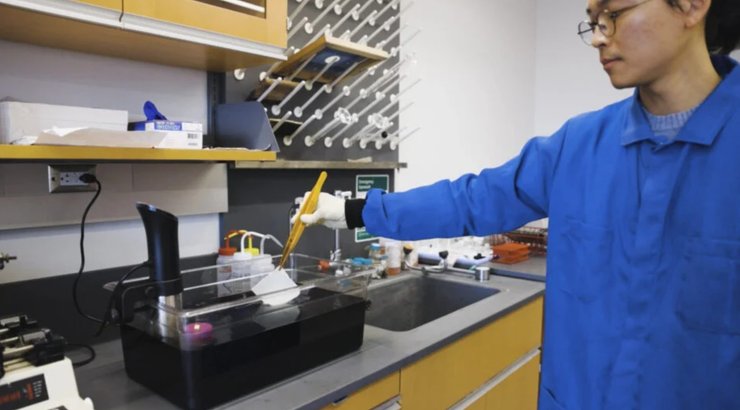 ткань, ультрачерный цвет